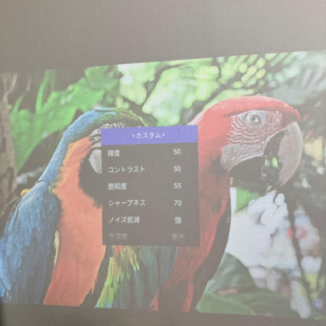 【2024年購入・美品】popIn Aladdin2 付属品完備・ドット抜けなし