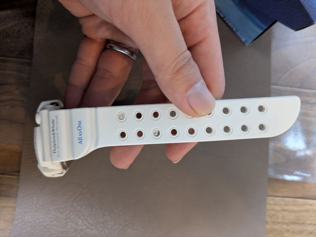 値下げしました【激レア・極美品】G-SHOCK カシオ フロッグマン イルクジ