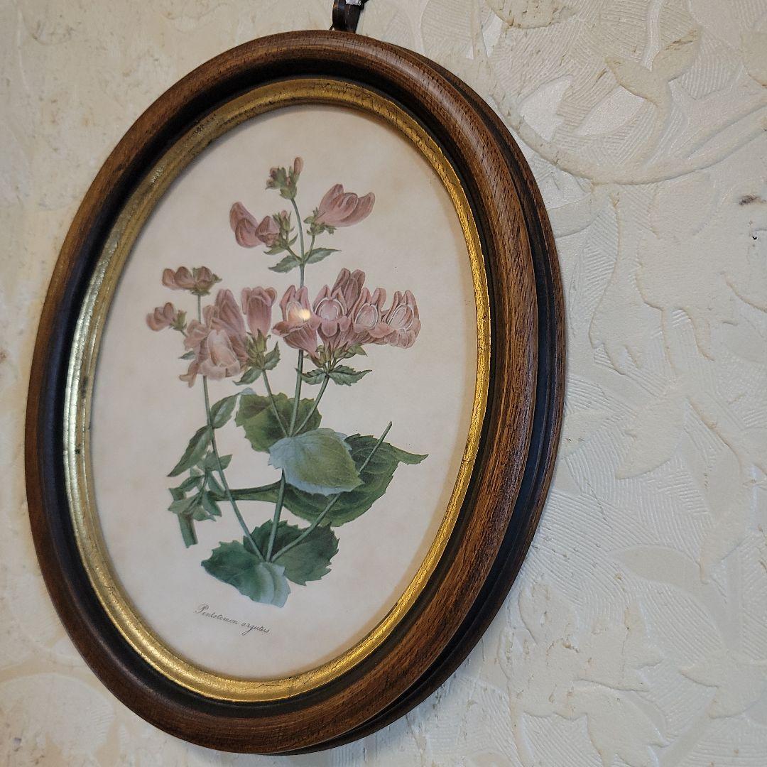 くれは様用です！！　ヴィンテージ　イタリア製　ボタニカルアート　2つ