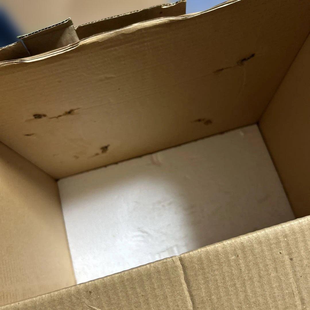 ハローキティ　クリスマスリース　ぬいぐるみ　ダンシングリース　ぬいぐるみ　キティ