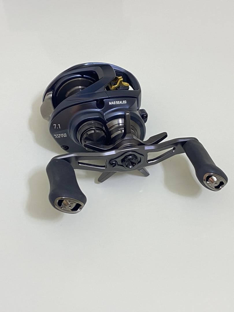 STEEZ AII TW 1000H (スティーズA2TW) 右ハンドル