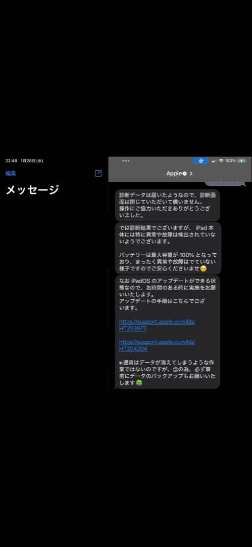 iPad mini 6 256GB WiFi セルラーモデル スペースグレイ