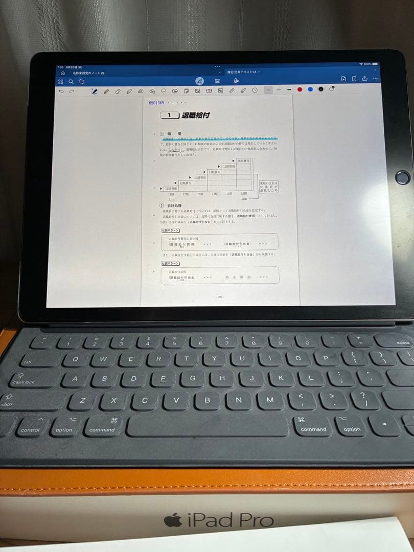 iPad Pro 12.9㌅最大容量100%