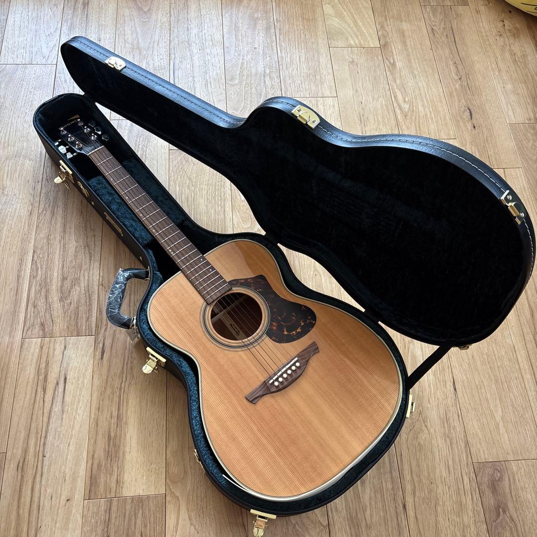 HISTORY アコースティックギター 専用ケース付き