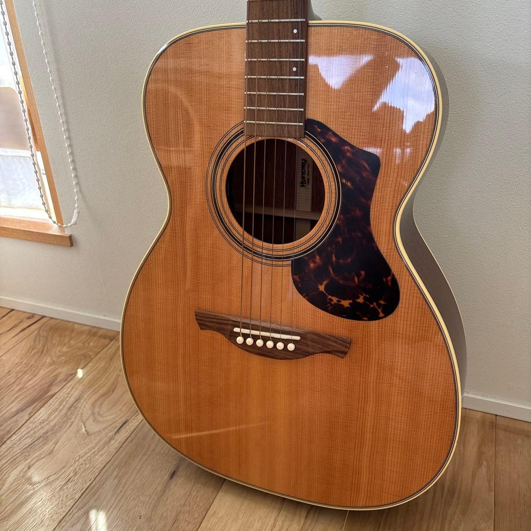 HISTORY アコースティックギター 専用ケース付き