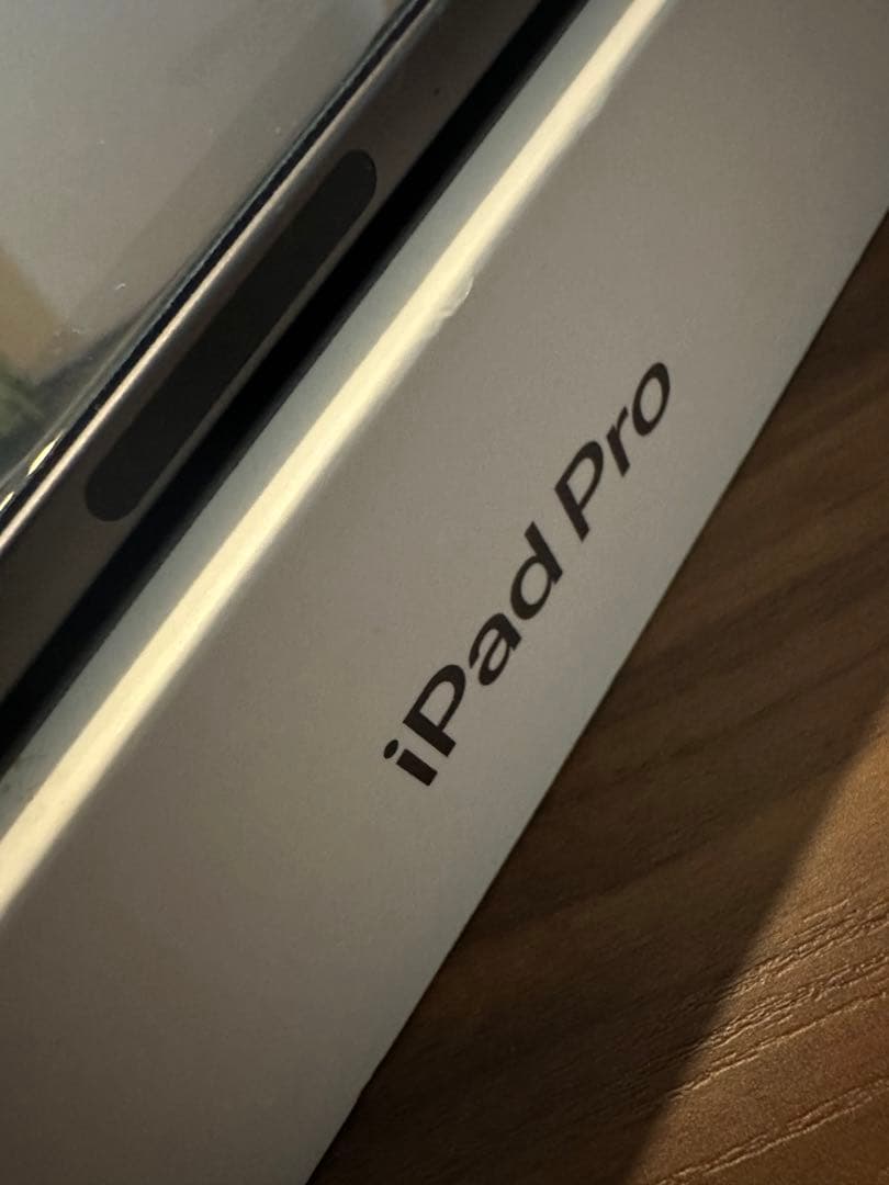 10/30まで値下【超絶美品】iPad Pro 11inc 256GB