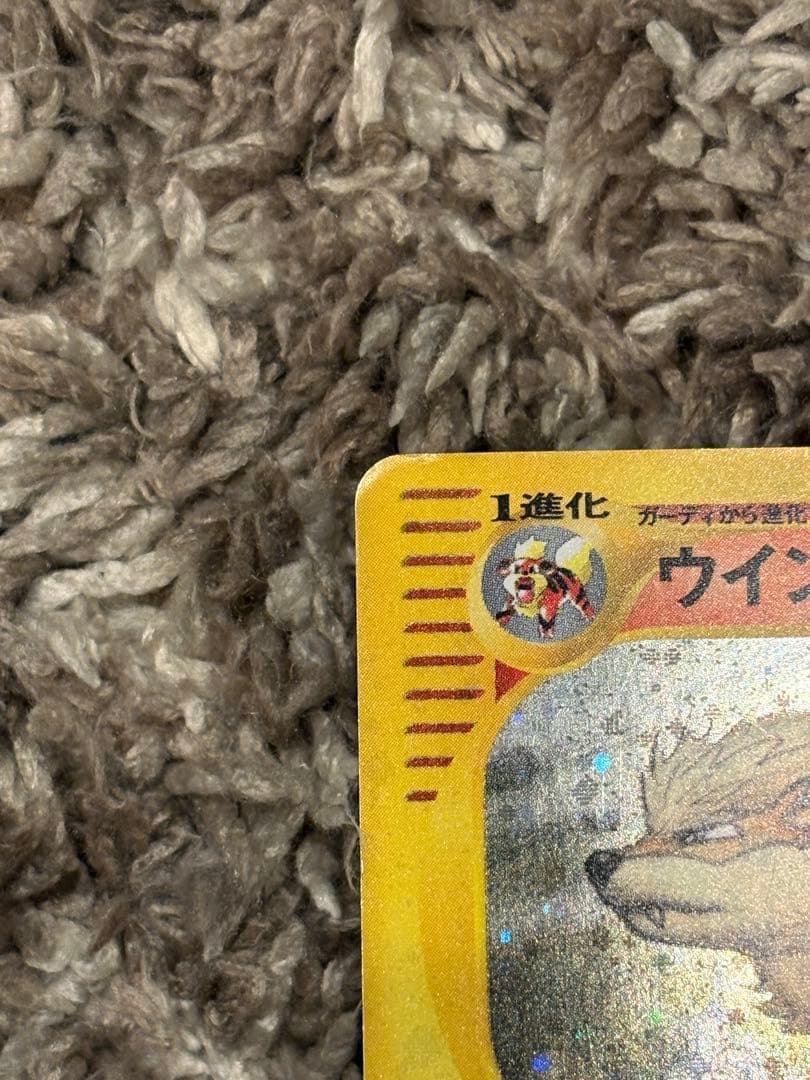 ウインディ ● 拡張パック第5弾 神秘なる山 017/088