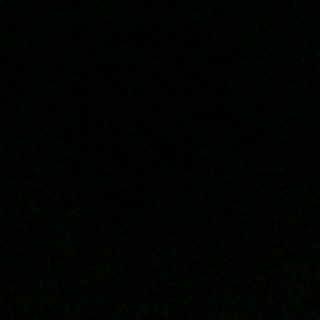 太陽と月2011年、一枚