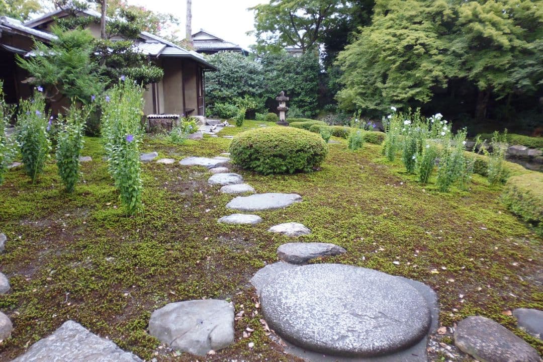 パナソニックのコンパクトデジカメ　LUMIX DMC-XS1