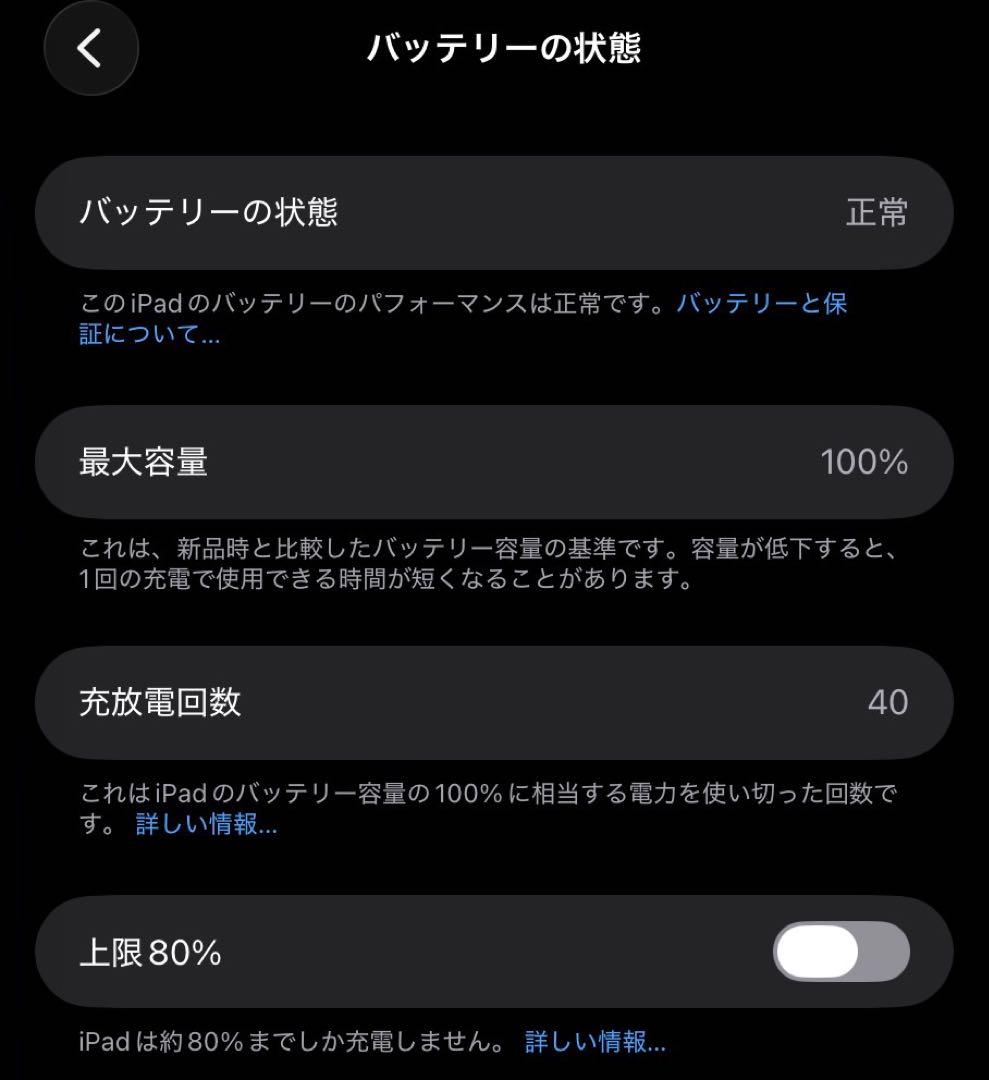 iPad mini スペースグレー 本体　128g
