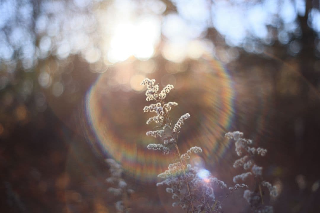 Super-Takumar 55mm F1.8 初期型 S/N：842127