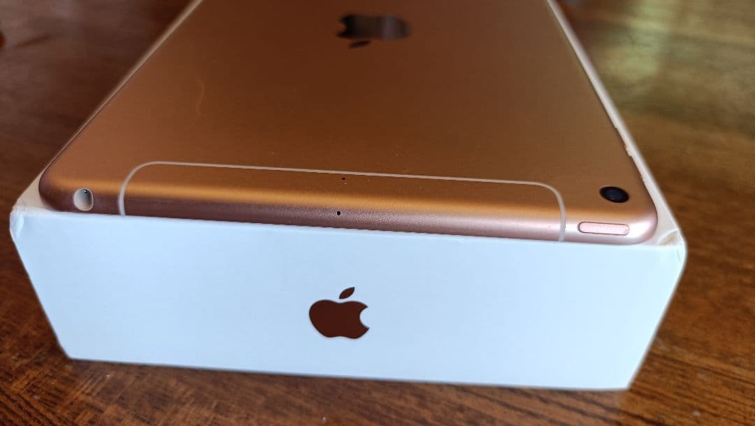 海外版 Apple iPad nimi 5 Wi-Fi + Cellular