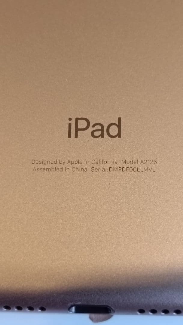 海外版 Apple iPad nimi 5 Wi-Fi + Cellular