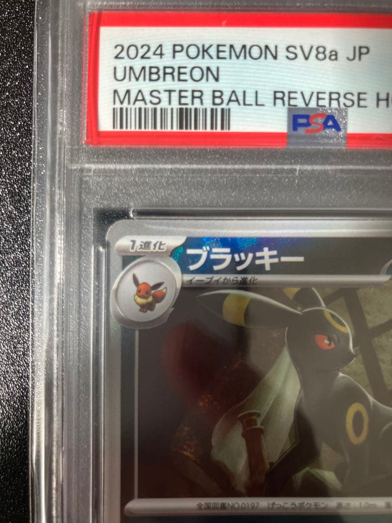 【PSA10】ブラッキー マスボミラー 、マスターボールミラー