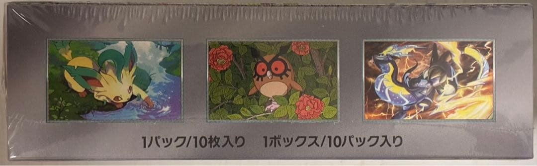 ポケモンカードゲーム テラスタルフェスex シュリンク付き 1box 未開封