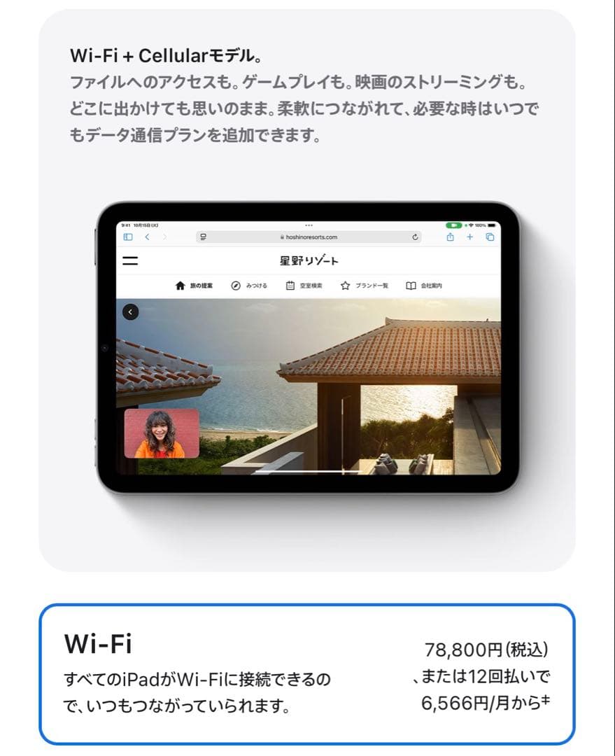 【新品未開封】iPad mini 128GB Wi-Fiとケース他