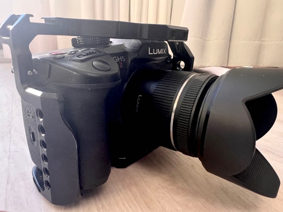 LUMIX GH5M2+ 14-42標準レンズ ケージ付き＋オマケ