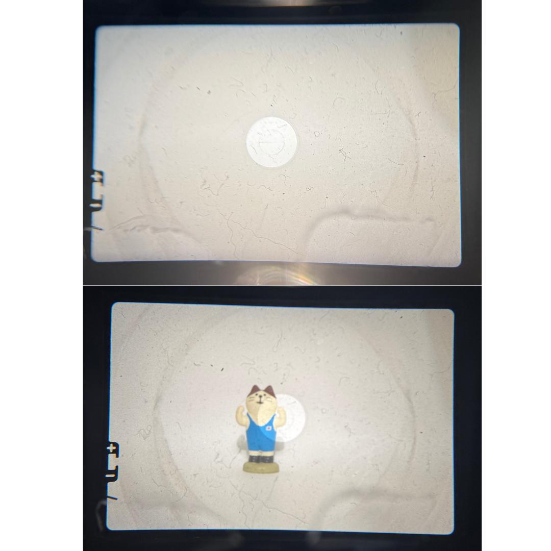 整備済 完動 OLYMPUS M-1 50mm F1.8 レンズ2本 希少