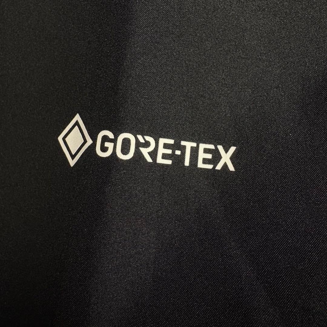 ノースフェイス　THE NORTH FACE NP12405 ゴアテックス