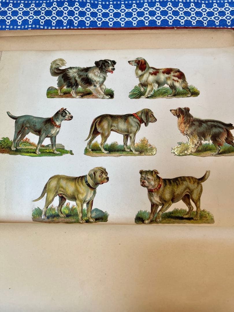 アンティーク赤ずきんちゃん♡他たっぷりのクロモス貼り大盤サイズアルバム冊子