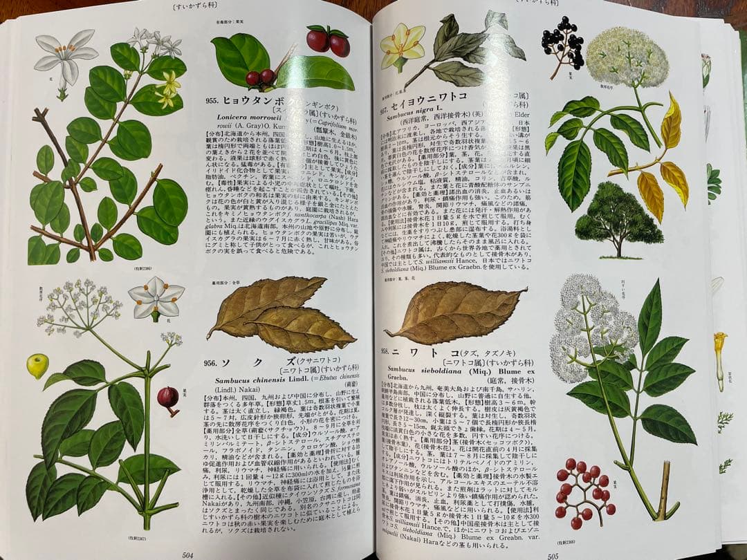 原色牧野和漢薬草大図鑑