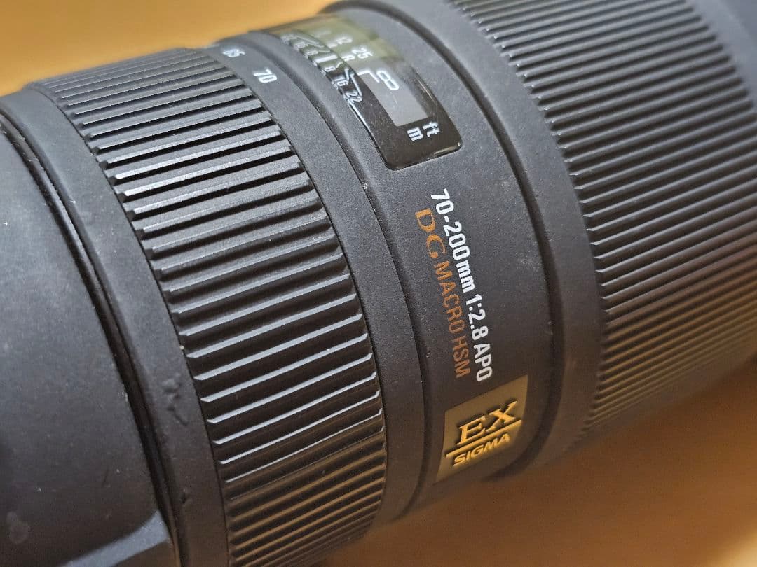 シグマ 70-200mm f/2.8 APO EX DG MACRO HSM