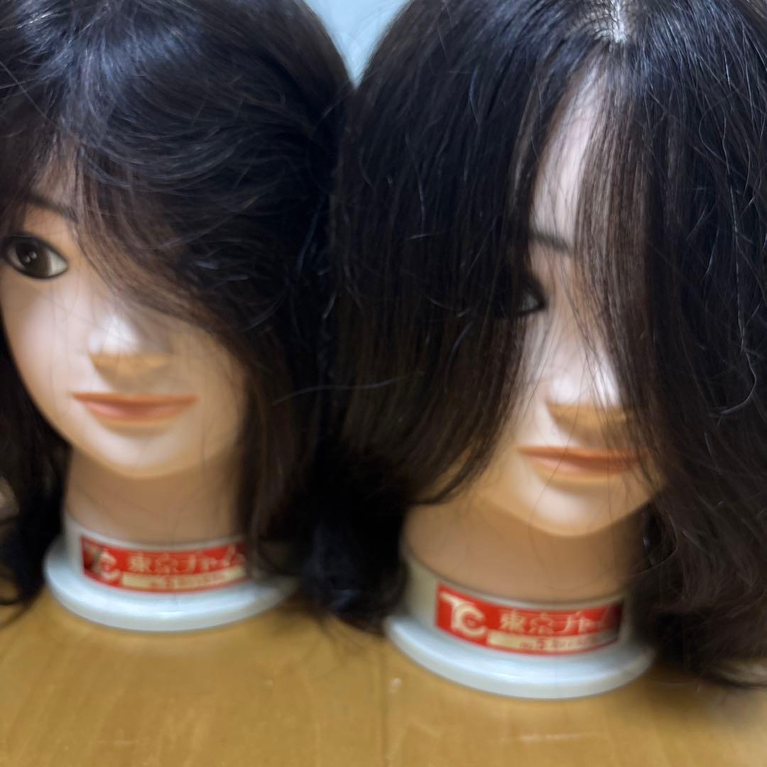 東京チャームNo.5 カットモデル　2体セット 2体セット 未使用 練習用