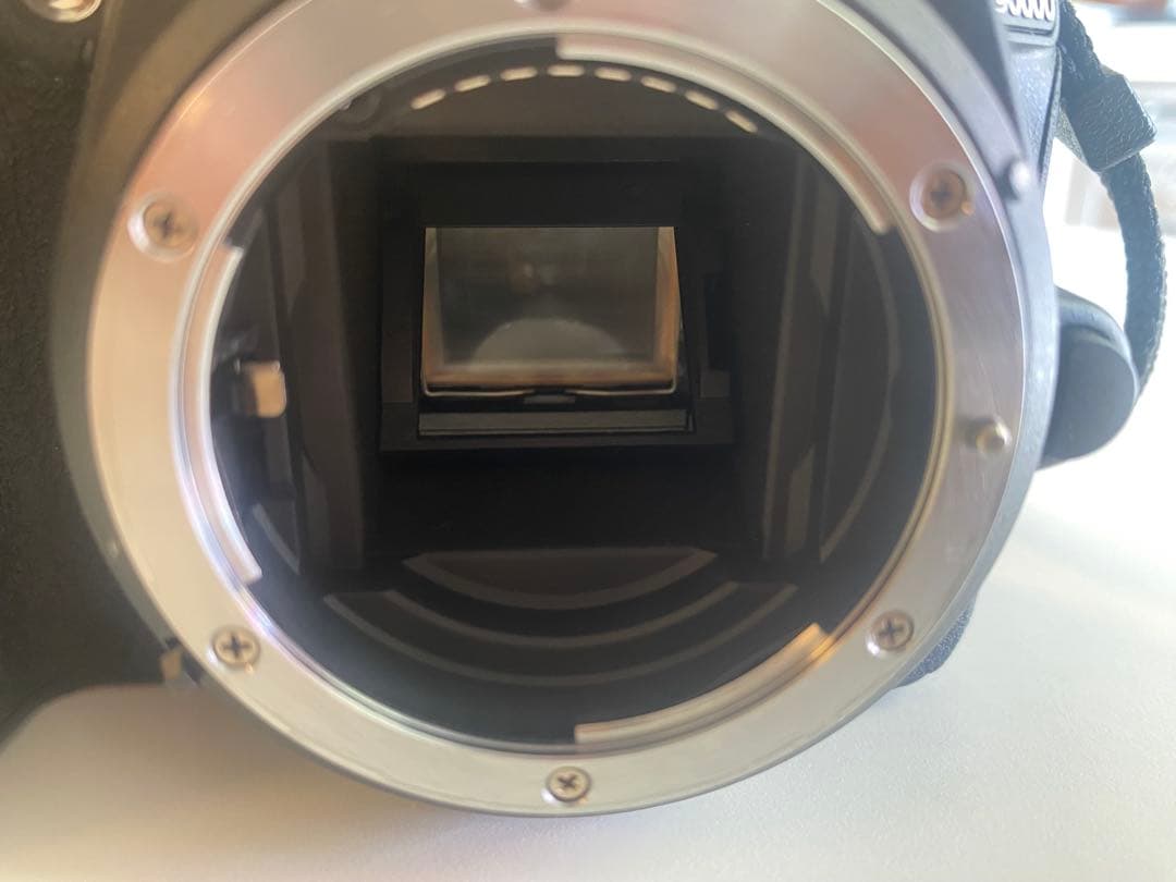 ショット数1127回■美品■Nikon D5600 レンズキット