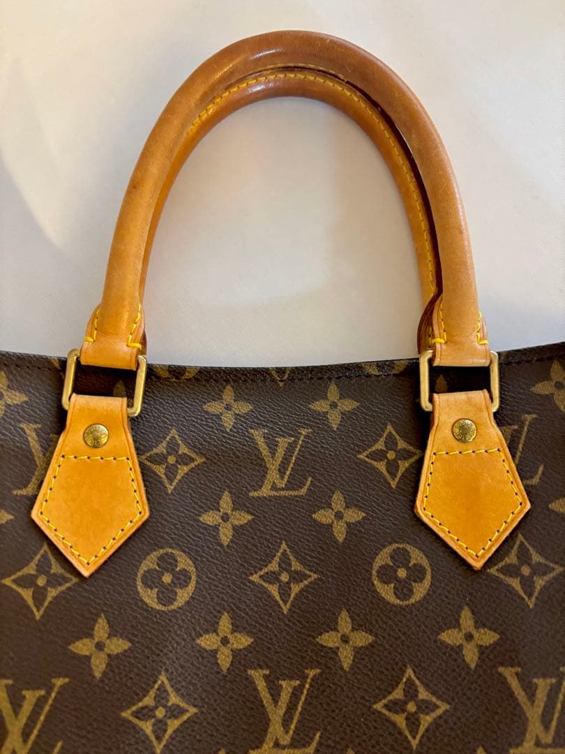 LOUIS VUITTON サックプラ　ルイヴィトン　ハンドバッグ