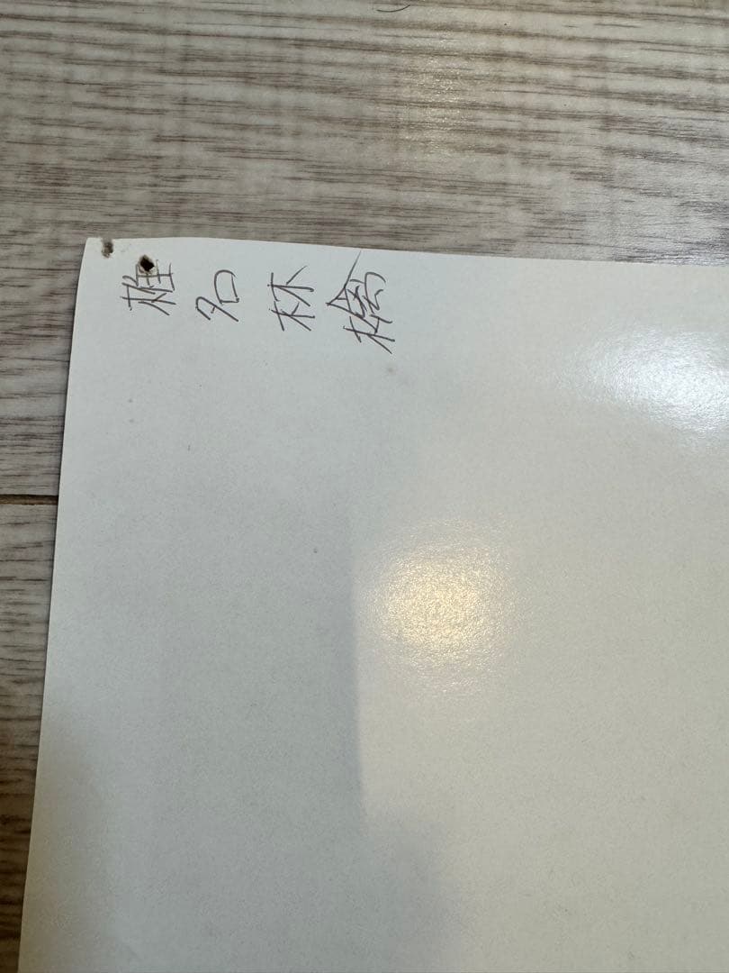 椎名林檎　B2ポスター　本能　目線違いセット品