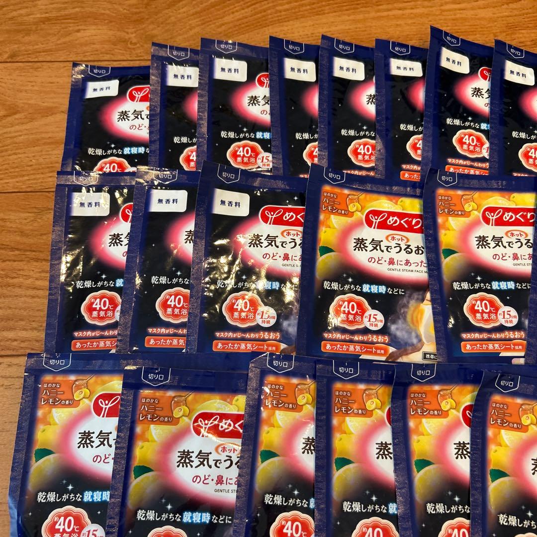 めぐリズム　蒸気でうるおいマスク　のど・鼻にあったか蒸気　ホット