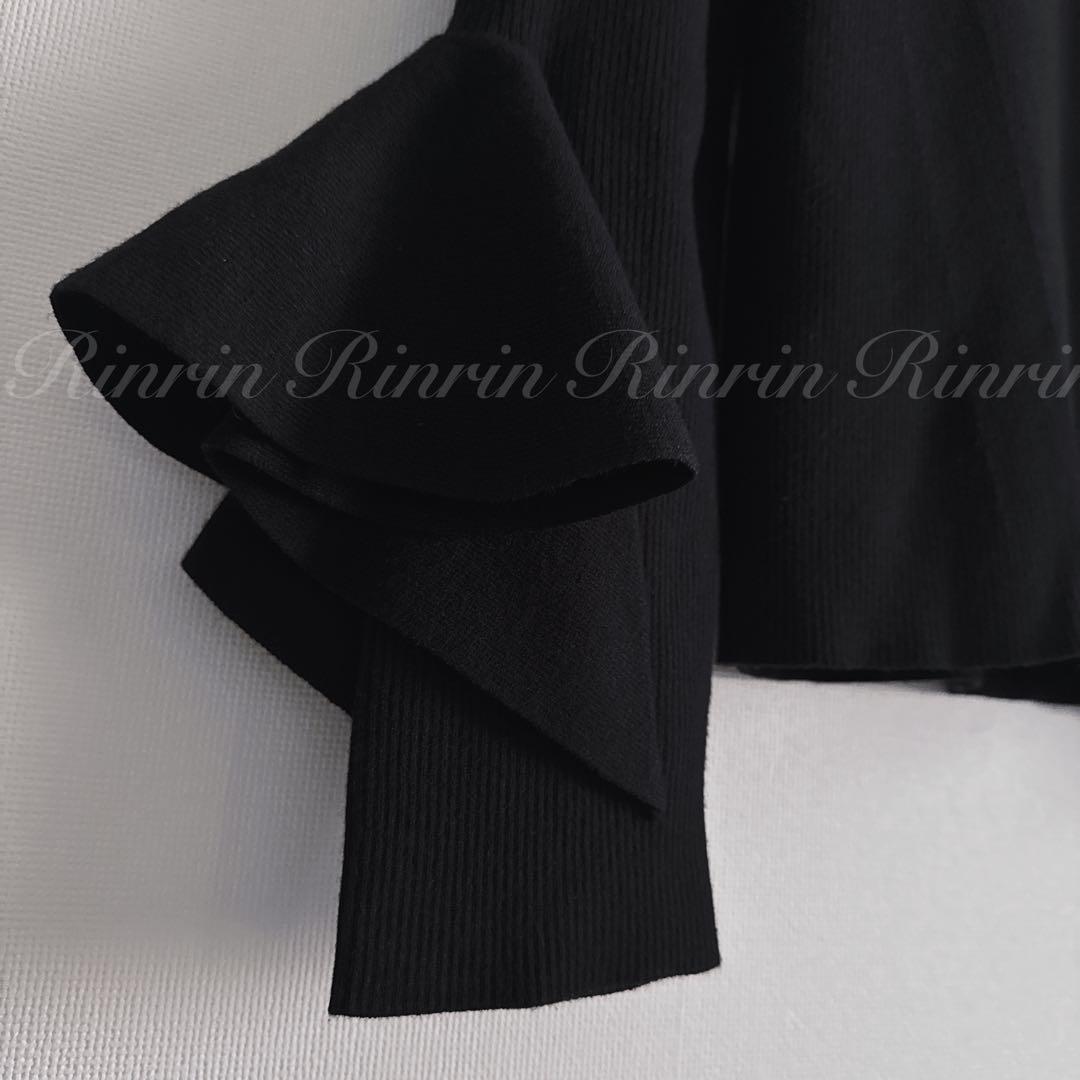 ANAYI ラッフルスリーブリブニットプルオーバー 38