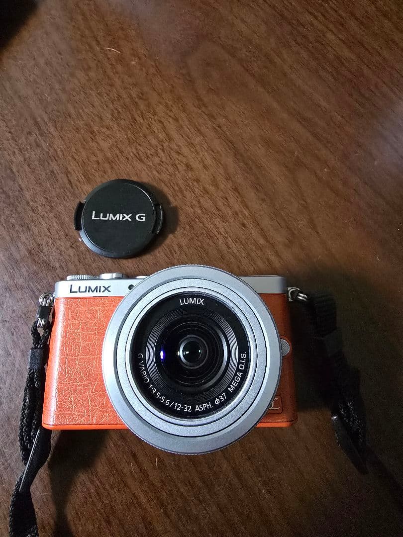 わ*ん様 Panasonic LUMIX DMC-GM1 オレンジ Wi-Fi