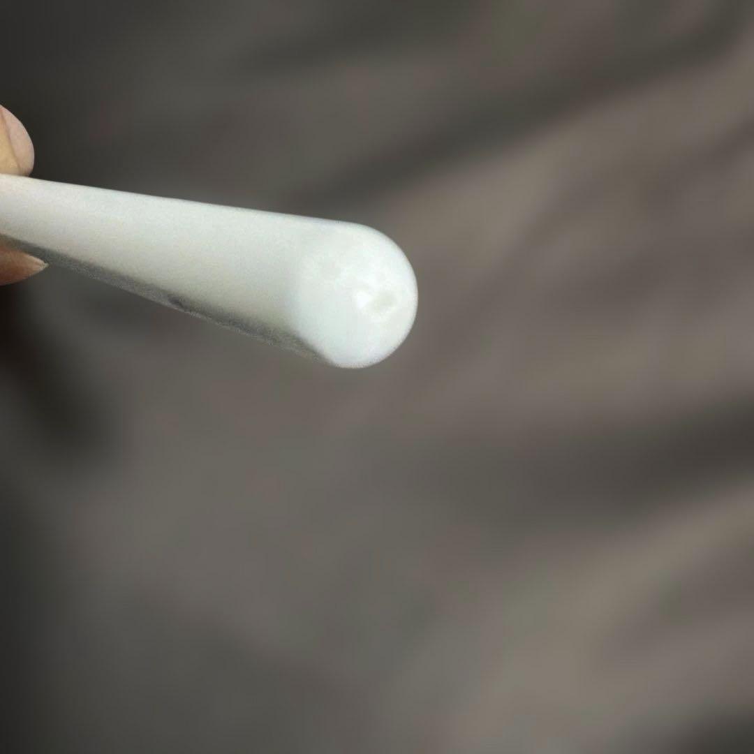 Apple pencil Pro Apple正規品 純正 アップルペンシルプロ