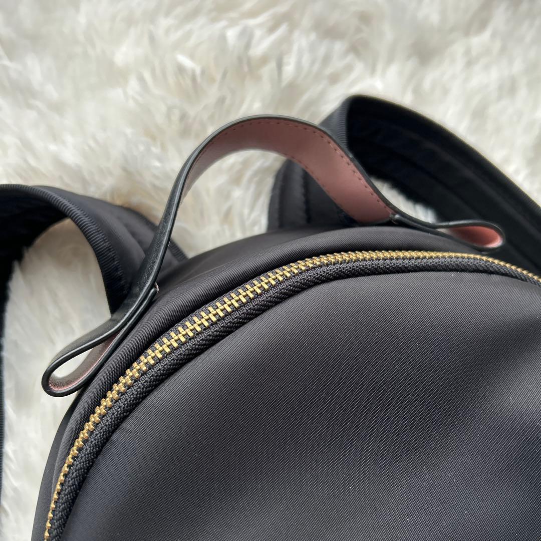 LANVIN en Bleu ディズニーストア　マリー　55th アニバーサリー