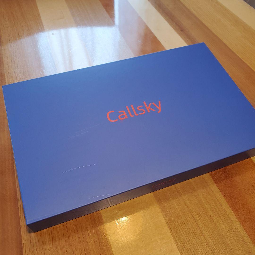 新登場 Android 15 タブレット 10インチ ケース付きGoogle