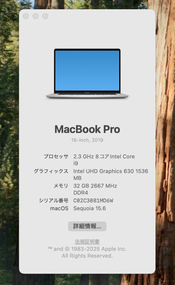 MacBookPro 2019 16インチ 32GB 1TB Corei9
