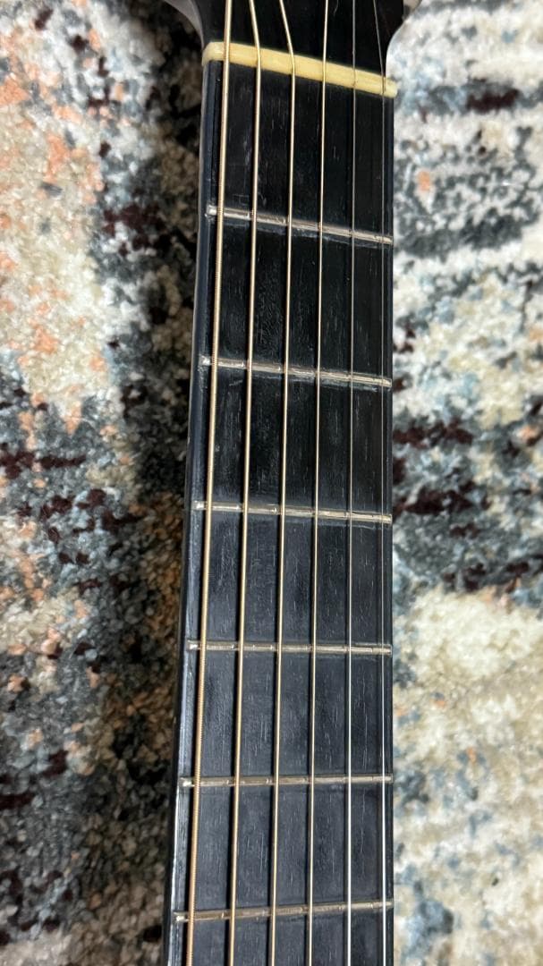 Larrivee O-01 1998ｓ