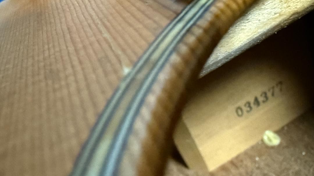 Larrivee O-01 1998ｓ