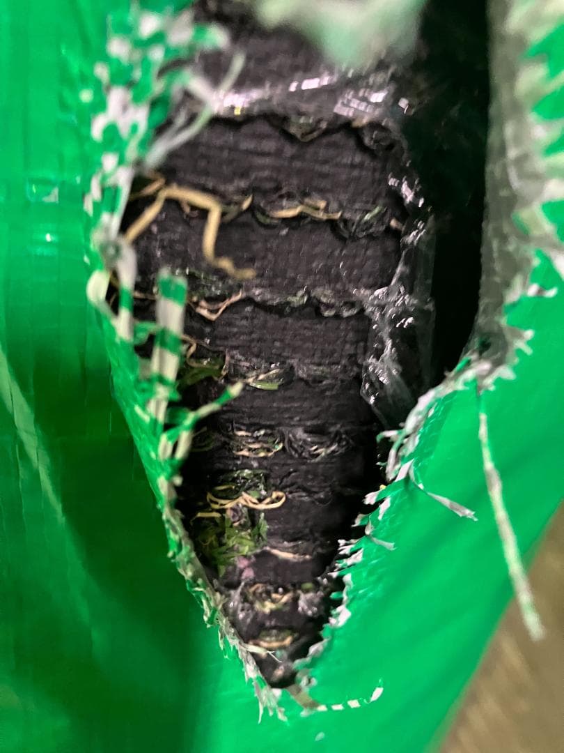 【即購入OK】【訳アリ】人工芝ロール2m×１０ｍ（芝丈３０ｍｍ）１本