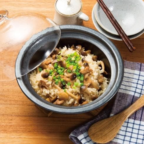 新品 ADERIA 津軽びいどろ×萬古焼土鍋スモーク料理対応グラスドームクッカー