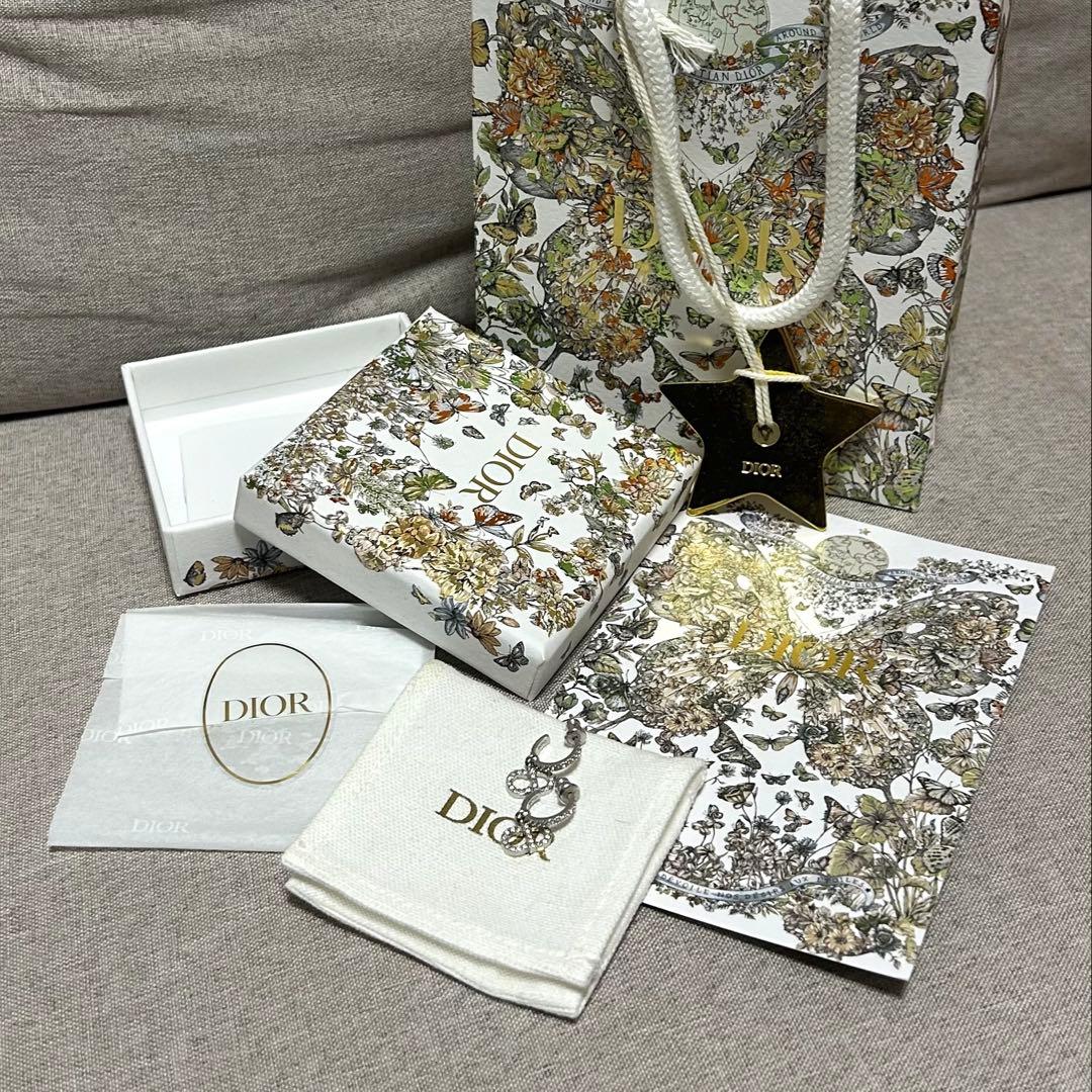 DIOR Clair D Lune ピアス　シルバー 美品