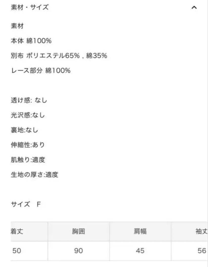 【短時間使用】正規品　bibiy PATTY PILGRIM TOP グレー