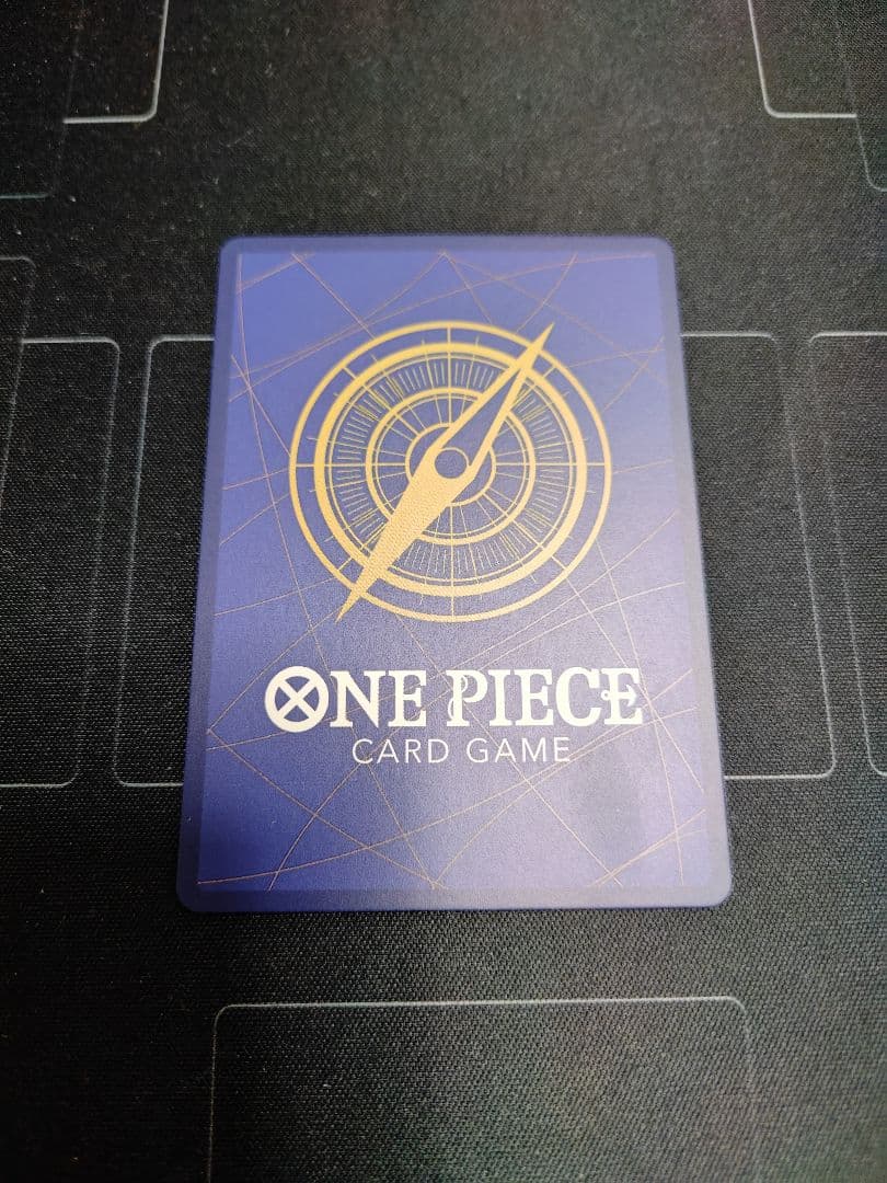 【訳アリ】ロロノア・ゾロ　パラレル