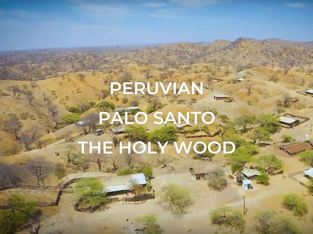 1kg★激安ご奉仕★希少☆神秘的な香り【聖なる樹バロサント香ウッドフレーク】…