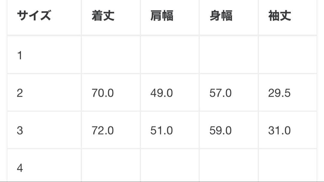 【定価39,600円】ターク/TAAKK カットジャガード シャツ　サイズ2