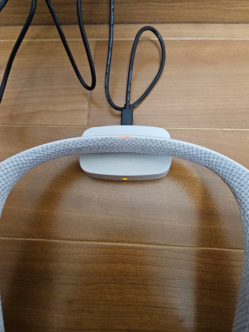 【大人気肩掛け】SONY スピーカー SRS-WS1