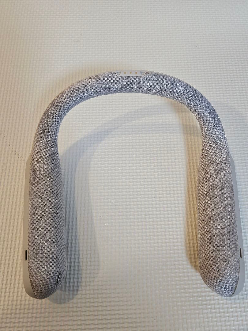 【大人気肩掛け】SONY スピーカー SRS-WS1