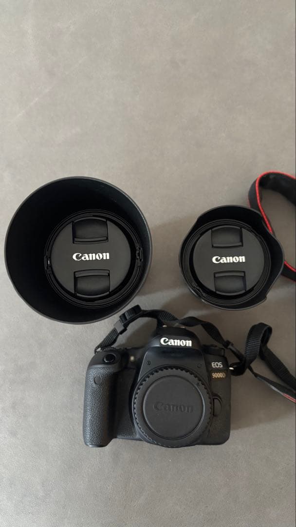 Canon EOS 9000D ダブルズームキット＋バッグ付き｜動作良好・美品