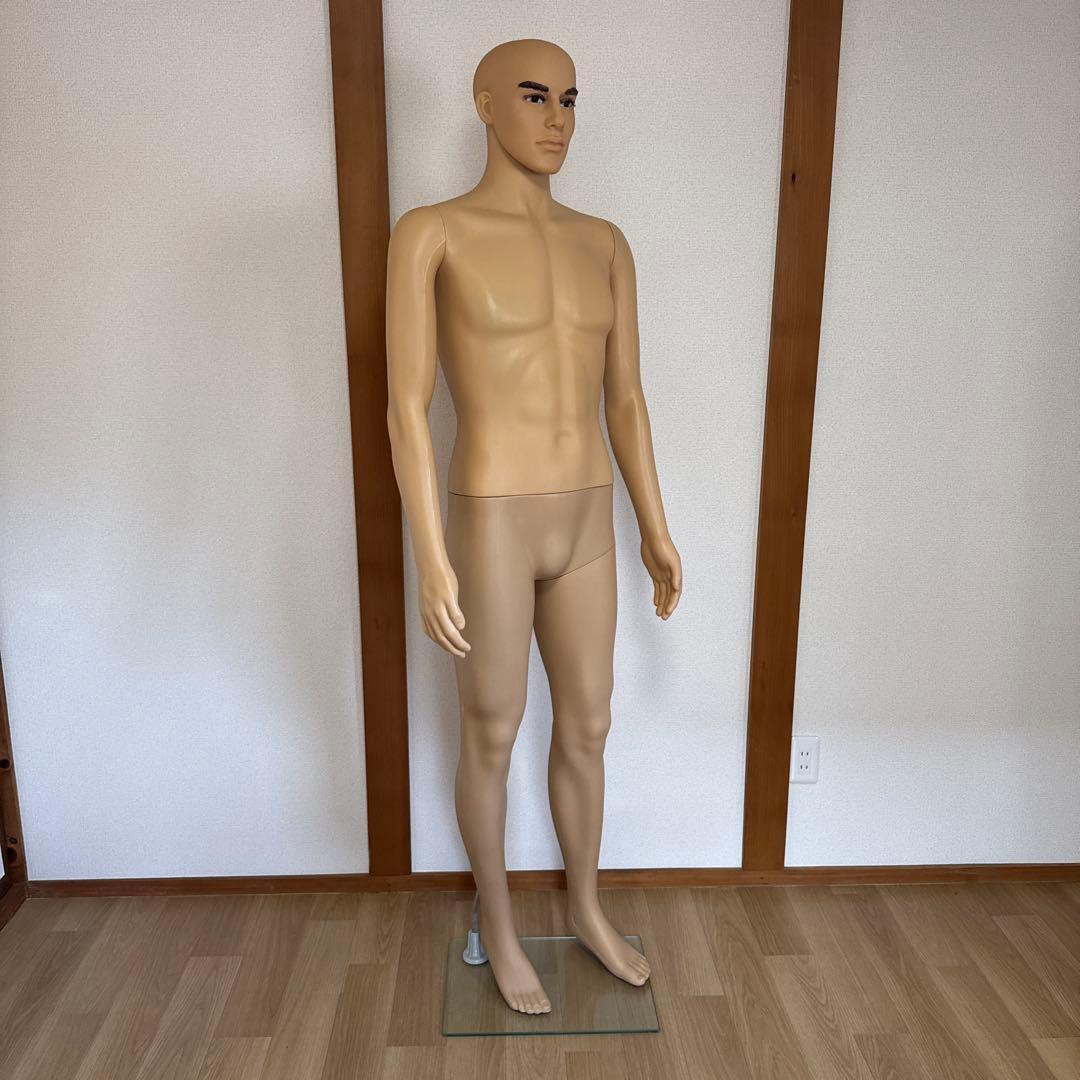 男性マネキン 肌色 約185cm